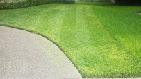 Valle Lawn Maintenance