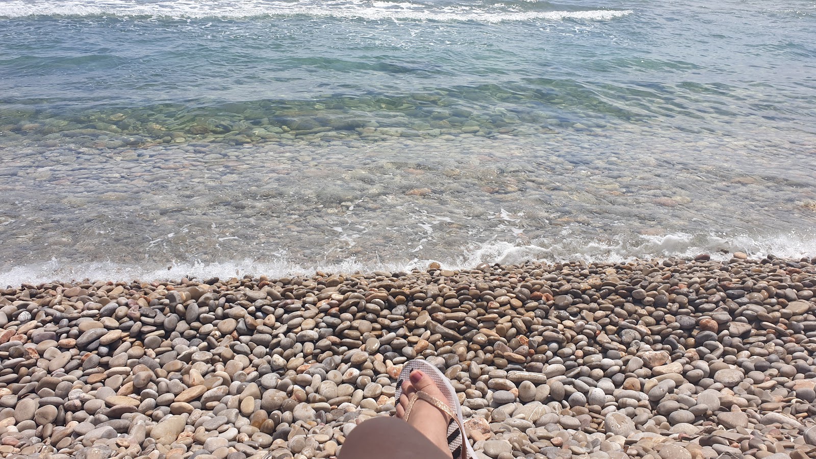 Platja de la Basseta'in fotoğrafı çok temiz temizlik seviyesi ile