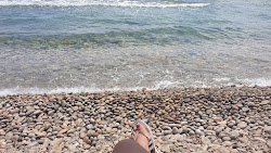 Platja de la Basseta'in fotoğrafı çok temiz temizlik seviyesi ile