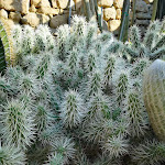 Photo n°11 de l'avis de Lorenzo.o fait le 01/08/2021 à 12:50 sur le  Seaside à Camporosso