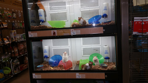 Pet Supply Store «Petco Animal Supplies», reviews and photos, 349 Perimeter Dr, Midlothian, VA 23113, USA