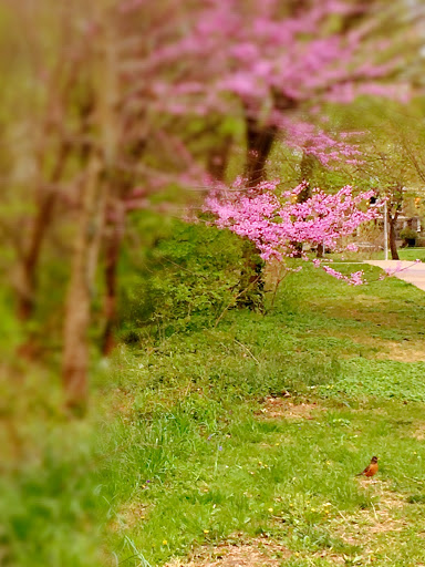 Art Museum «Baltimore Museum of Art», reviews and photos, 10 Art Museum Dr, Baltimore, MD 21218, USA