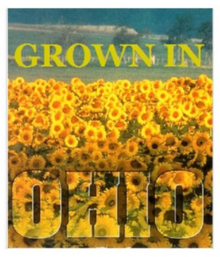 Florist «OSUFLOWERS .COM», reviews and photos, 2733 E Main St, Columbus, OH 43209, USA