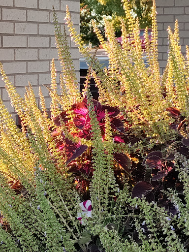 Fast Food Restaurant «Chick-fil-A», reviews and photos, 12520 SE 93rd Ave, Clackamas, OR 97015, USA