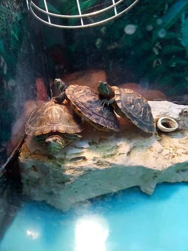 Pet Supply Store «Petco Animal Supplies», reviews and photos, 85 State St, Orem, UT 84058, USA