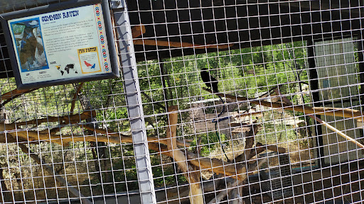 Zoo «Rocky Shores At Hogle Zoo», reviews and photos, 2478 E Ninth S Cir, Salt Lake City, UT 84108, USA