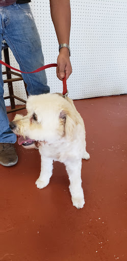 Pet Supply Store «The Dog House», reviews and photos, 4237 S Alameda St, Corpus Christi, TX 78412, USA