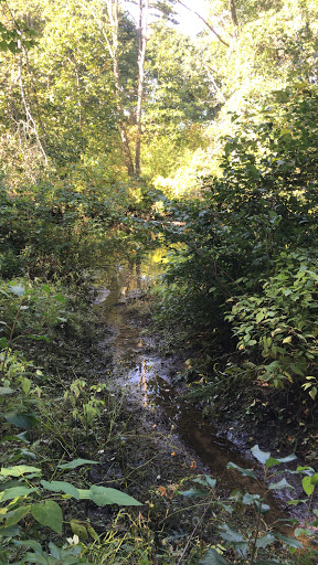 Shawsheen River Bird Sanctuary