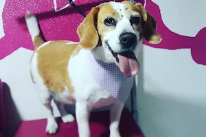 Peluqueria canina en facatativa BeautyPup image