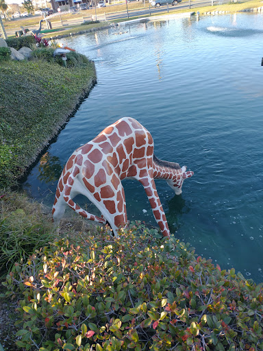 Tourist Attraction «Coconut Creek Family Fun Park», reviews and photos, 9807 Front Beach Rd, Panama City Beach, FL 32407, USA