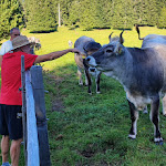 Photo n°1 de l'avis de Massimiliano.i fait le 14/08/2023 à 19:56 sur le  Petersberger Leger Alm à Deutschnofen