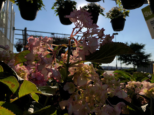 Home Improvement Store «The Home Depot», reviews and photos, 701 W Edgar Rd, Linden, NJ 07036, USA