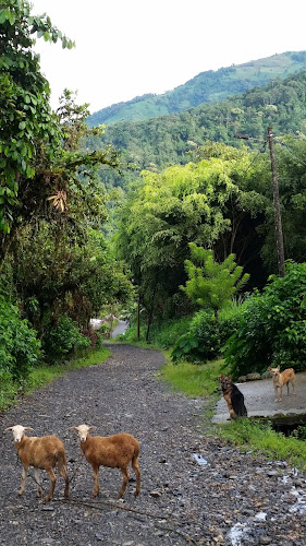 Balzapamba, Ecuador