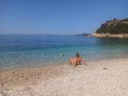 Small Ntrafi'in fotoğrafı vahşi alan