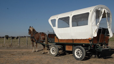 Calèche Camargue à Le Cailar