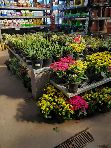 Home Improvement Store «The Home Depot», reviews and photos, 9890 N 90th St, Scottsdale, AZ 85258, USA