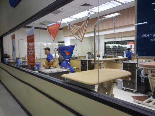 Pet Supply Store «PetSmart», reviews and photos, 3520 S El Camino Real, San Mateo, CA 94403, USA