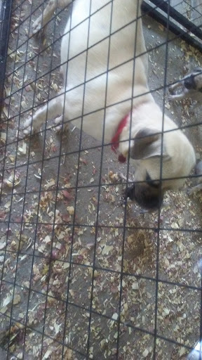 Pet Supply Store «Big Tex Feed & Pet Supply», reviews and photos, 7102 Cullen Blvd, Houston, TX 77021, USA