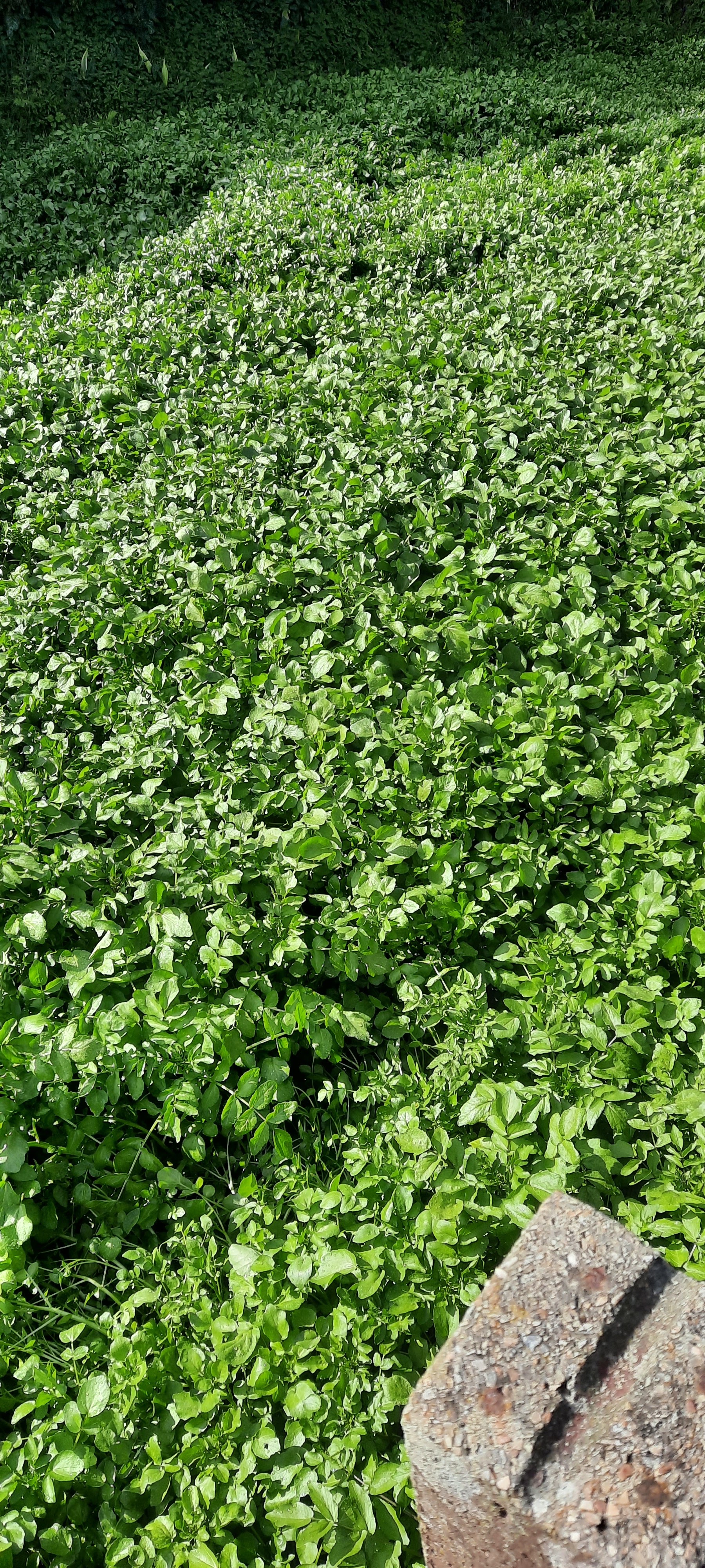 Photo n° 3 de l'avis de nourdine.o fait le 22/05/2021 à 05:57