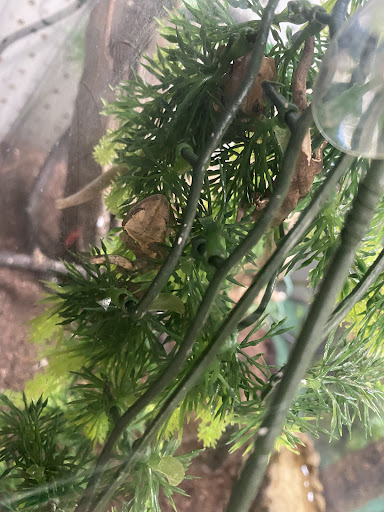 Pet Supply Store «Coastline Pet Supply», reviews and photos, 3530 Northgate Dr, Myrtle Beach, SC 29588, USA