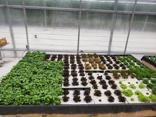 Grocery Store «Water Fresh Farm Marketplace», reviews and photos, 151 Hayden Rowe St, Hopkinton, MA 01748, USA