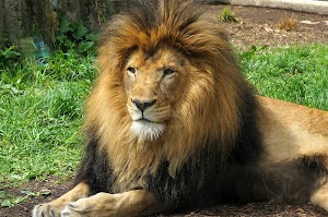 Indianapolis Zoo - photo 22