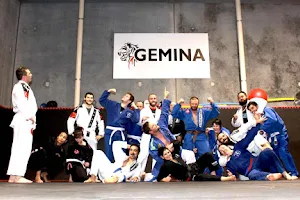 Gemina Sports image