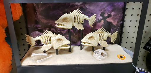 Discount Store «Big Lots», reviews and photos, 7991 Amador Valley Blvd, Dublin, CA 94568, USA