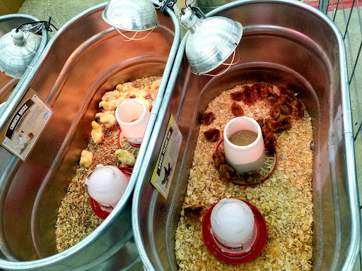 Home Improvement Store «Tractor Supply Co.», reviews and photos, 256 US-206 #13, Hillsborough Township, NJ 08844, USA