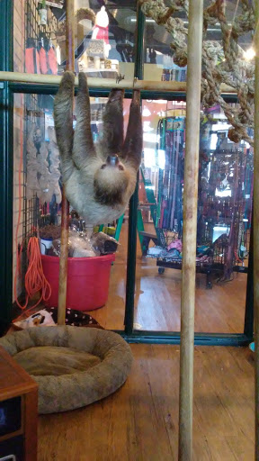 Pet Supply Store «EarthWise Pet Supply - Flower Mound», reviews and photos, 2311 Cross Timbers Rd #307, Flower Mound, TX 75028, USA