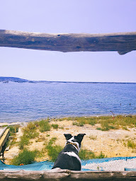 Photo n°16 de Zest - Comptoir de coquillages à Loupian ()