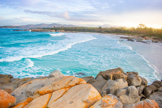 Suicide Beach