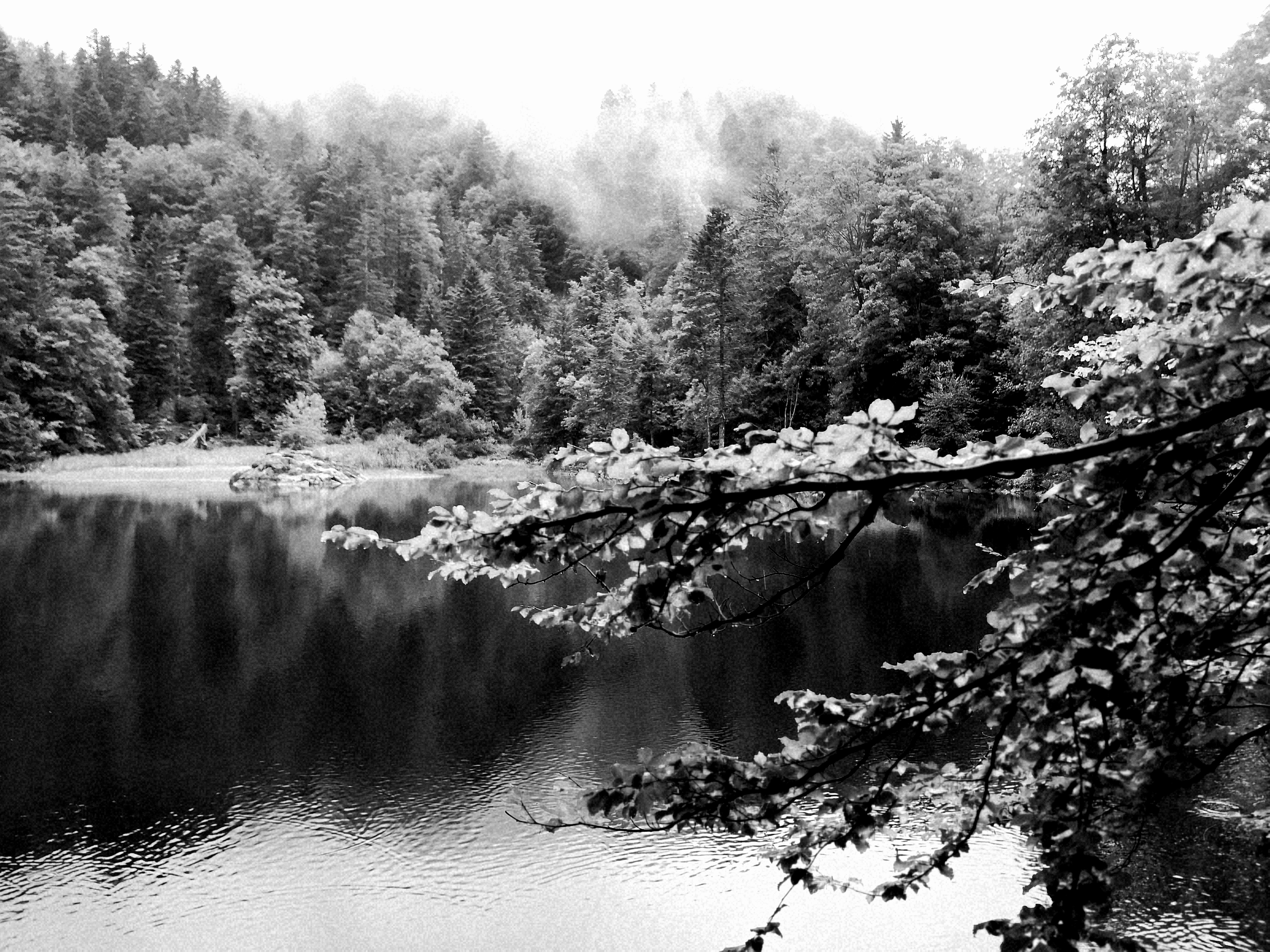 Photo n° 1 de l'avis de Thomas.P fait le 02/09/2019 à 07:43