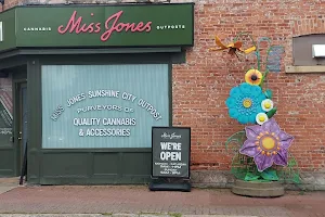 Miss Jones Sunshine City Outpost image