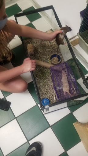 Pet Store «Westwood Pets Unlimited», reviews and photos, 15 Westwood Ave, Westwood, NJ 07675, USA