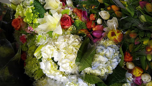 Grocery Store «Whole Foods Market», reviews and photos, 413 Centre St, Jamaica Plain, MA 02130, USA