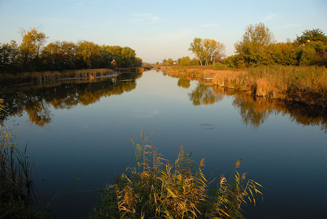 Comentarii opinii despre Taksony Sziget Étterem