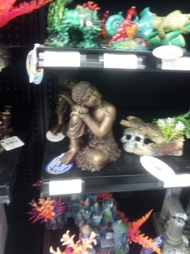 Pet Store «Woofmeow Family Pet Center», reviews and photos, 19 Manchester Rd Suite A, Derry, NH 03038, USA