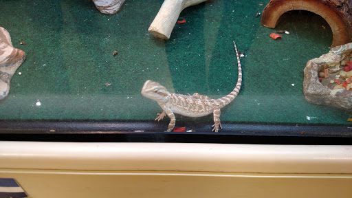 Pet Supply Store «PetSmart», reviews and photos, 1521 Golden Gate Plaza, Mayfield Heights, OH 44124, USA