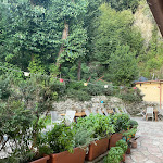 Photo n°21 de l'avis de Kinga.u fait le 23/08/2022 à 12:25 sur le  Hotel Ristorante PINTADERA à Massa