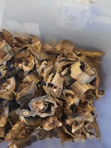 African Goods Store «Africa On the Bay - Tampa Store», reviews and photos, 1908 W Doctor M.L.K. Jr Blvd, Tampa, FL 33607, USA