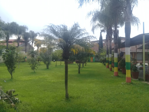 Terraza Jardin San Martin