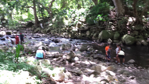 Drug Store «Walgreens», reviews and photos, 1215 16th St, Bedford, IN 47421, USA