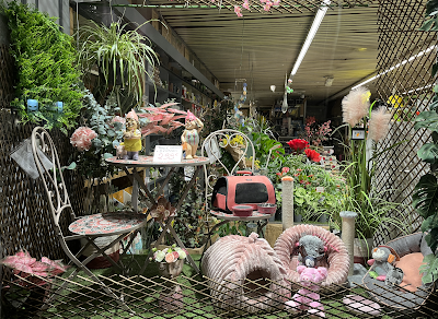 Au Parfait Jardinier à Toulouse