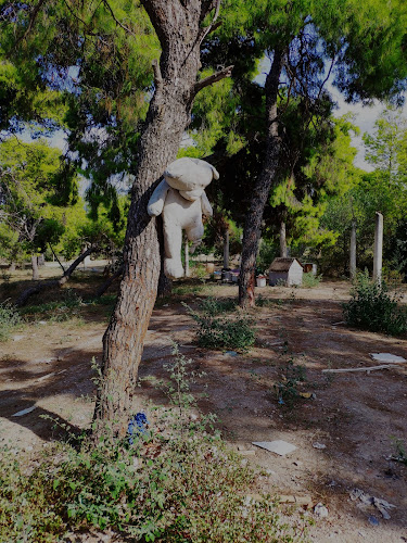 Comentarii opinii despre Πεδίο Δράσης Κόδρα