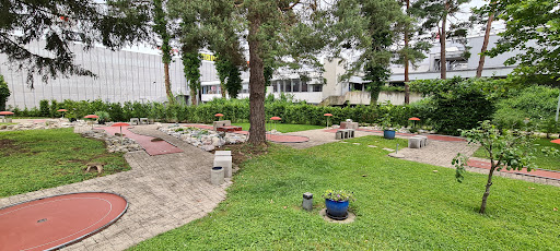 site_photo1