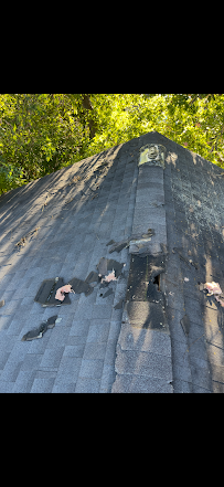 M&M Pest and Wildlife LLC - Photo 6 - Car repair in , Garland