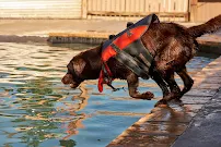 City Bark Lodo - Car repair in Denver, CO, Denver - Rated 4.5/5