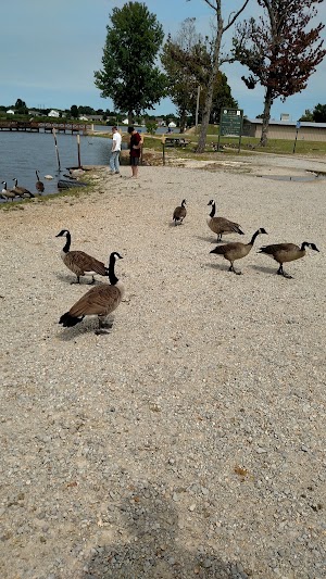 Reynolds Park - photo 25