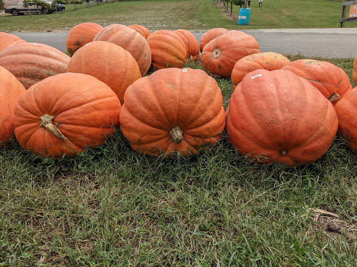 Farm «Jaemor Farms», reviews and photos, 5340 Cornelia Hwy, Alto, GA 30510, USA